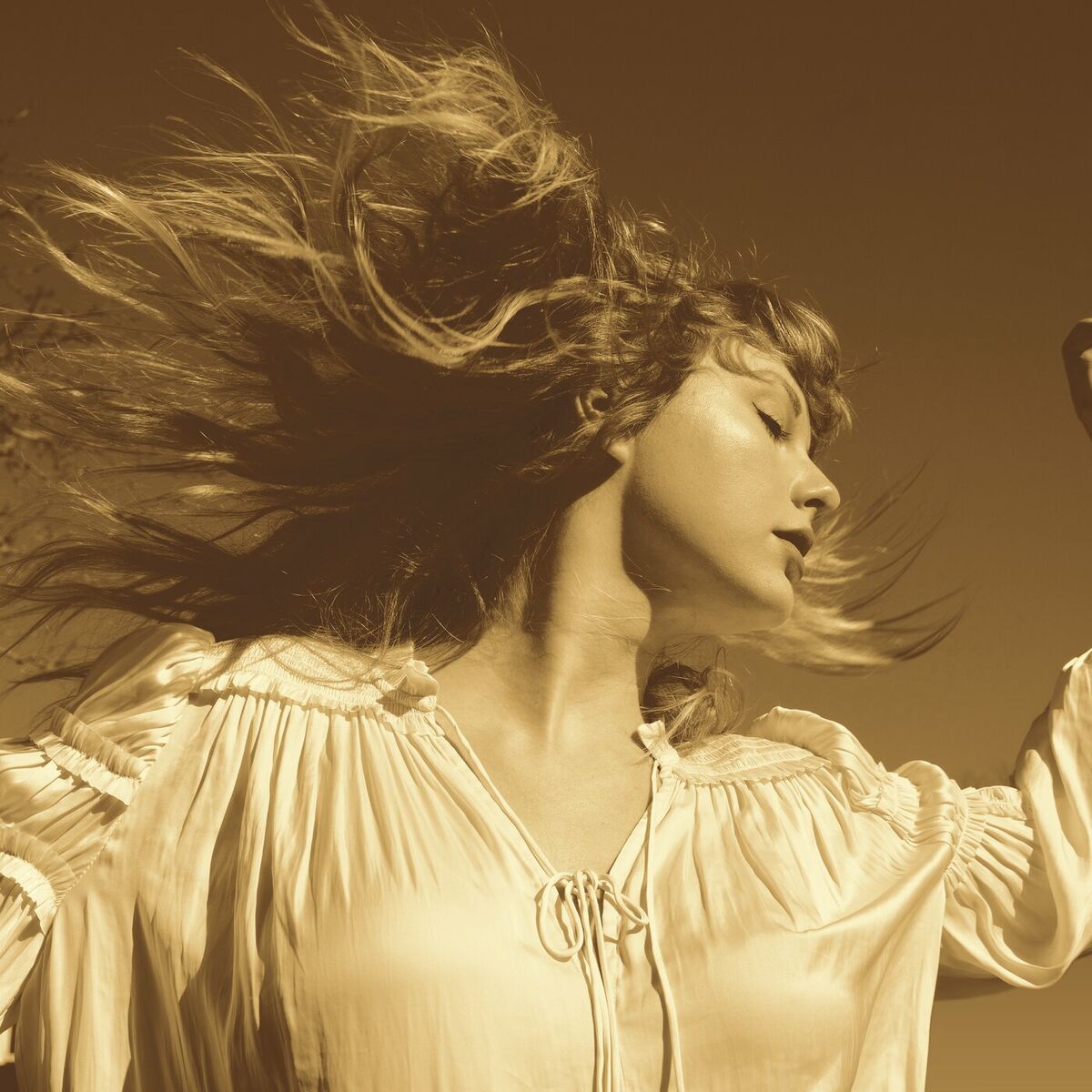 Pochette de Fearless